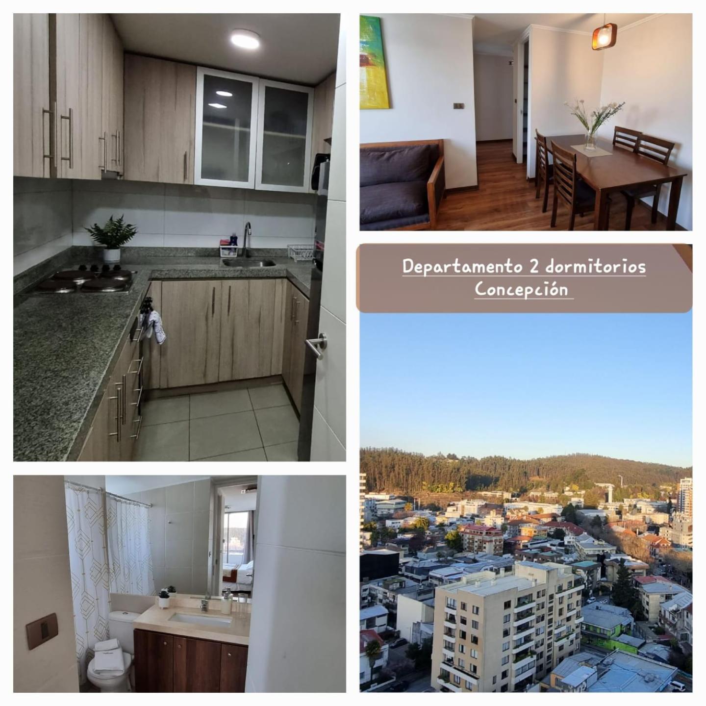 Apartamento Departamentos Full Equipados Concepción